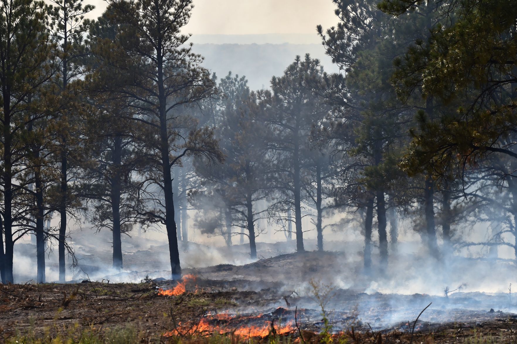 Lodgepole Complex fire